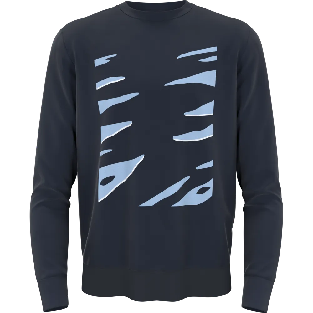 Zebra_V2