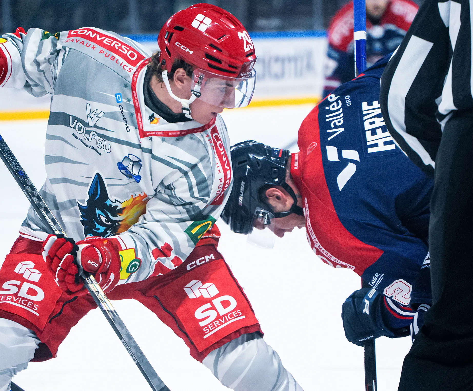 Zwei Eishockeyspieler stehen sich gegenüber, bereit zum Bully, der eine trägt ein graues und rotes Trikot mit einem Wolf-Design.