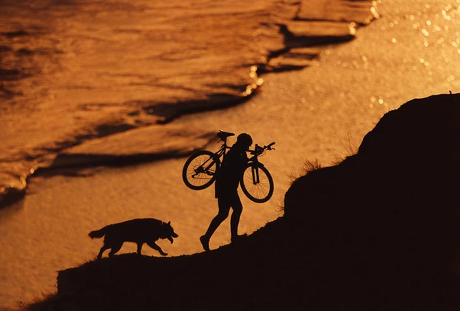 Fahrrad Fahren Mit Hund So Gewohnen Sie Ihn An Das Fahrrad