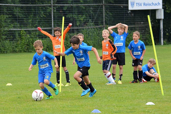 Expertentipps Fussball Expertentipps Fussball